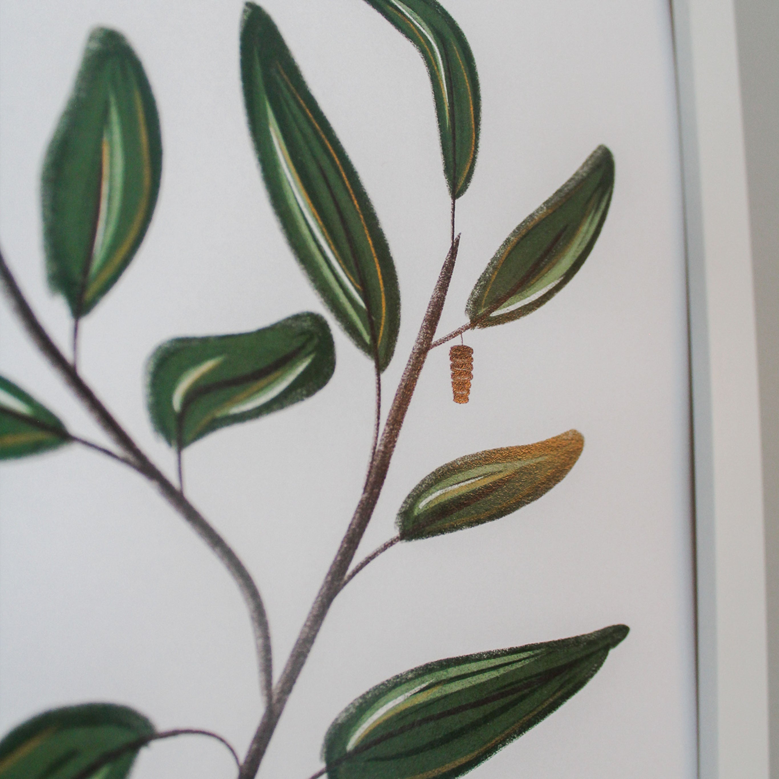 Cocoon Leaves Art Print