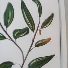 Cocoon Leaves Art Print