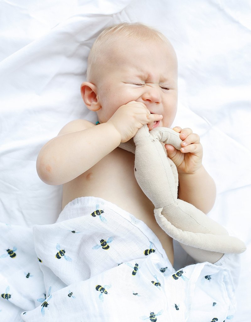 Organic Breathable Soft Cotton Busy Bees Swaddle Set