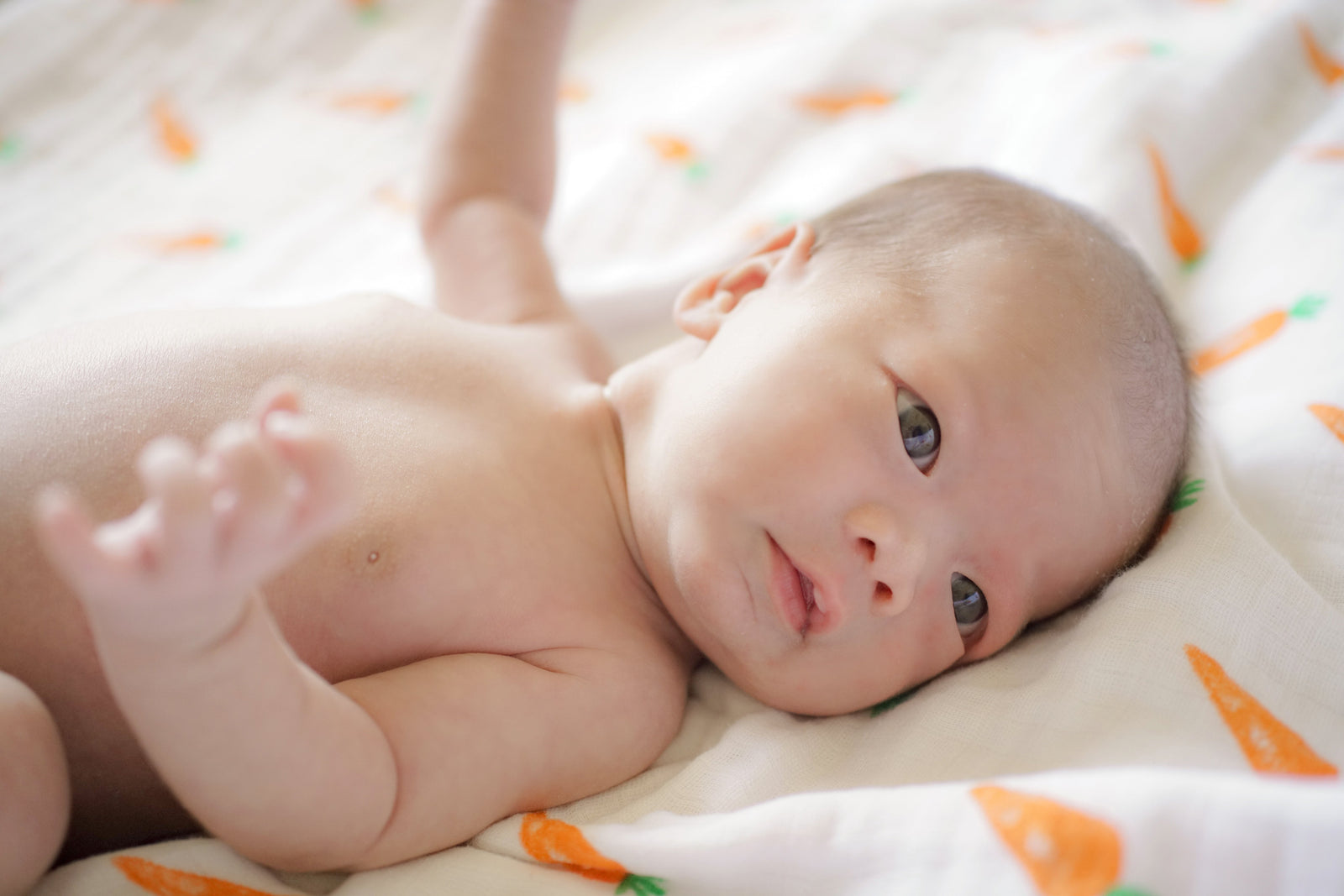 Organic Breathable First Foods Baby Swaddle Set
