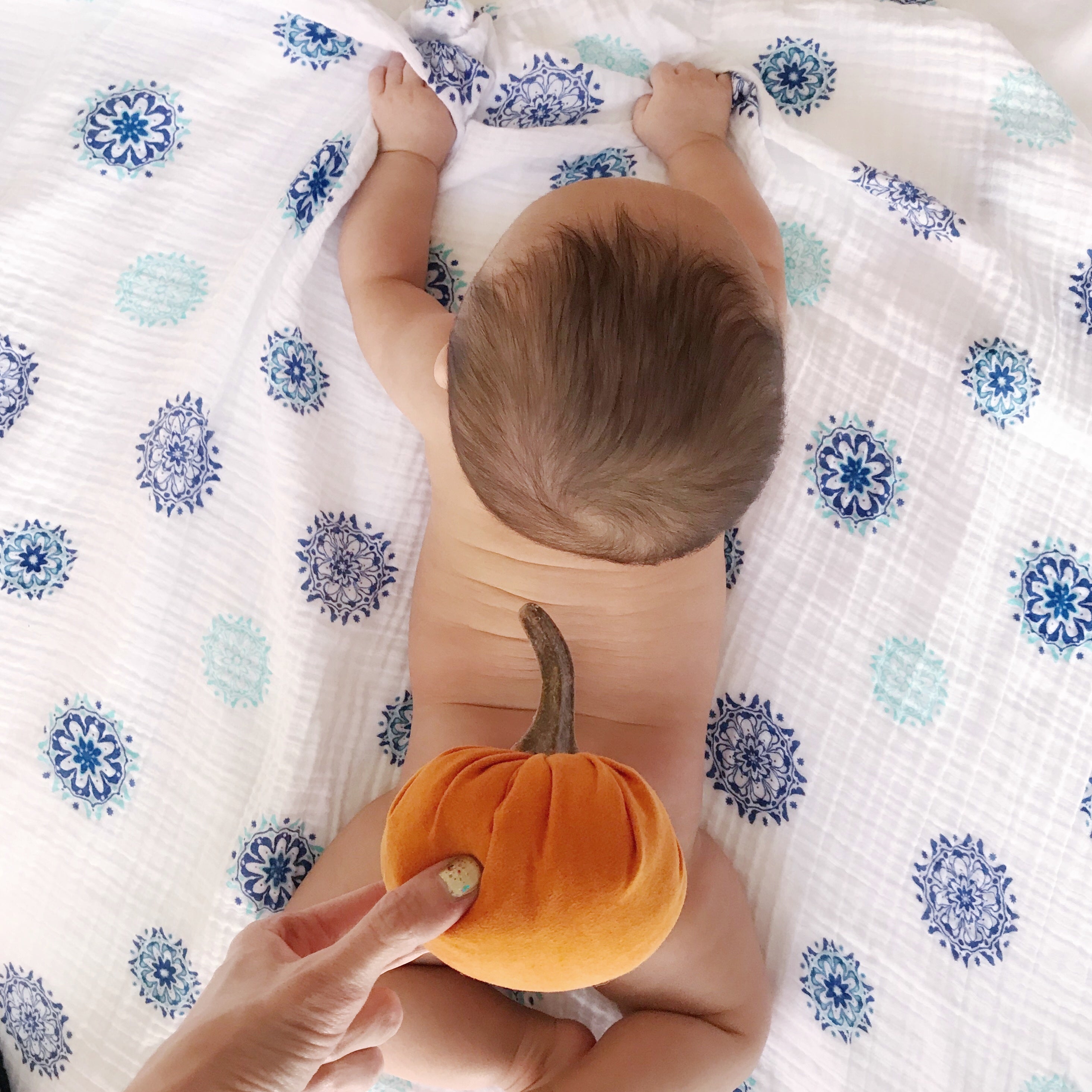 Organic Cotton Protector Series Baby Swaddle Set