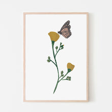 California Poppy Flower and Monarch Butterfly Art Print