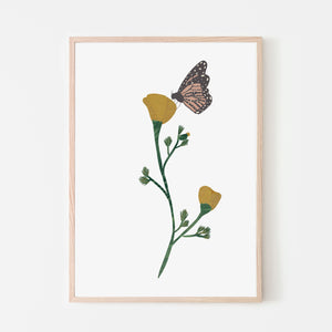 California Poppy Flower and Monarch Butterfly Art Print