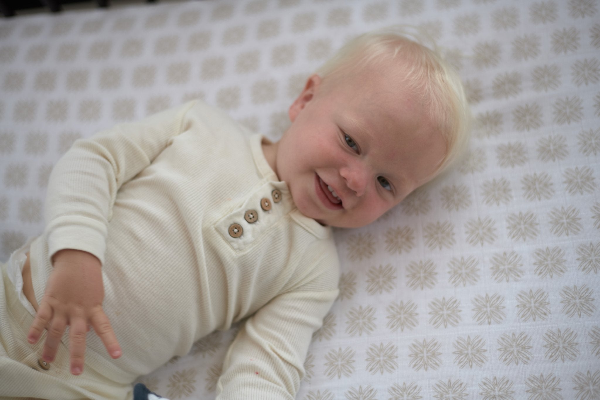 Traveler Dot Cotton Muslin Crib Sheet