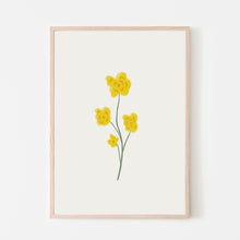 Yellow Blooms Art Print